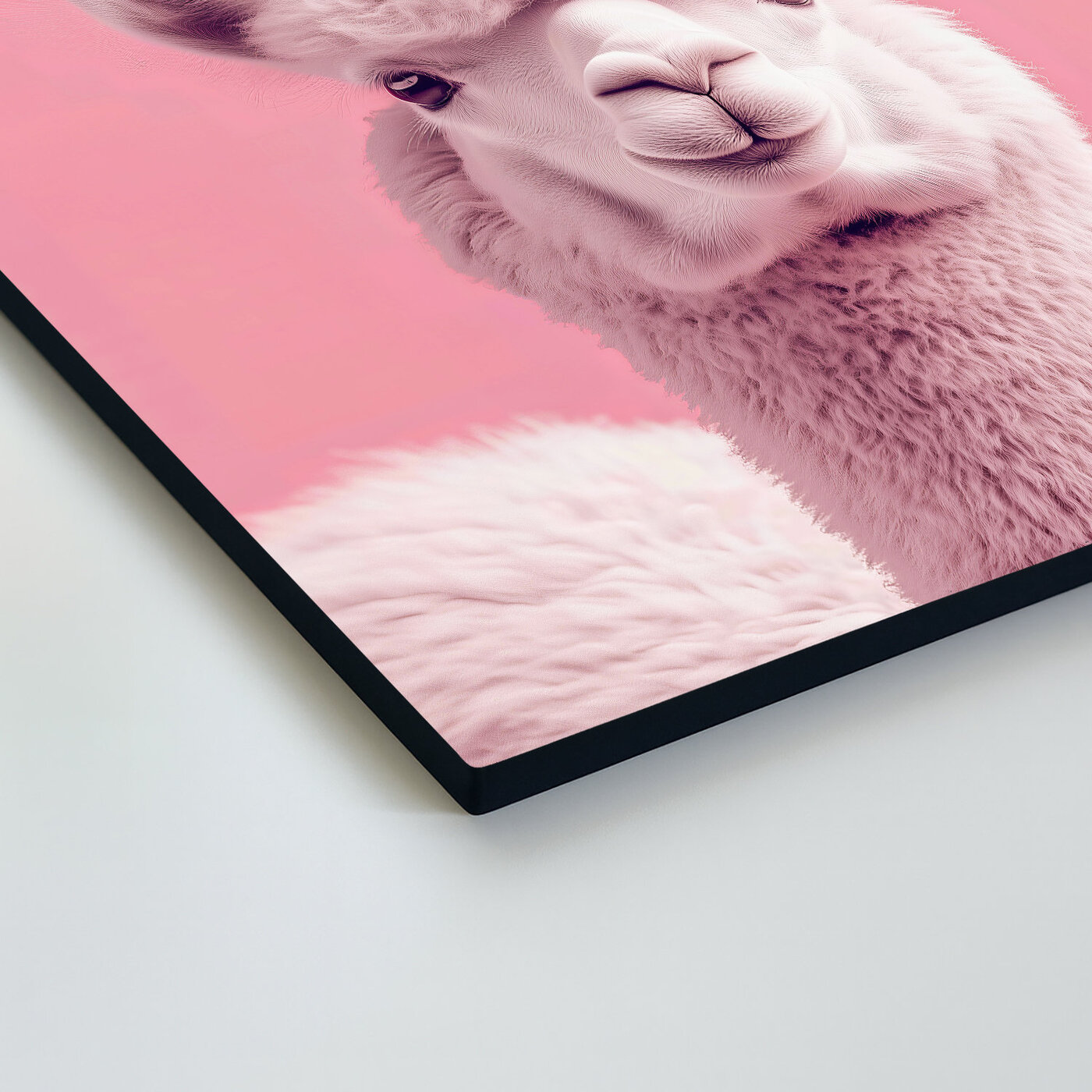 Růžový obraz - Lama