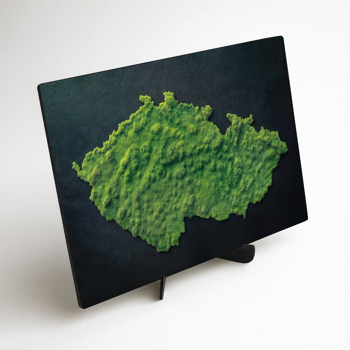 Machový obraz na stenu - Mapa Česka (UV tlač)
