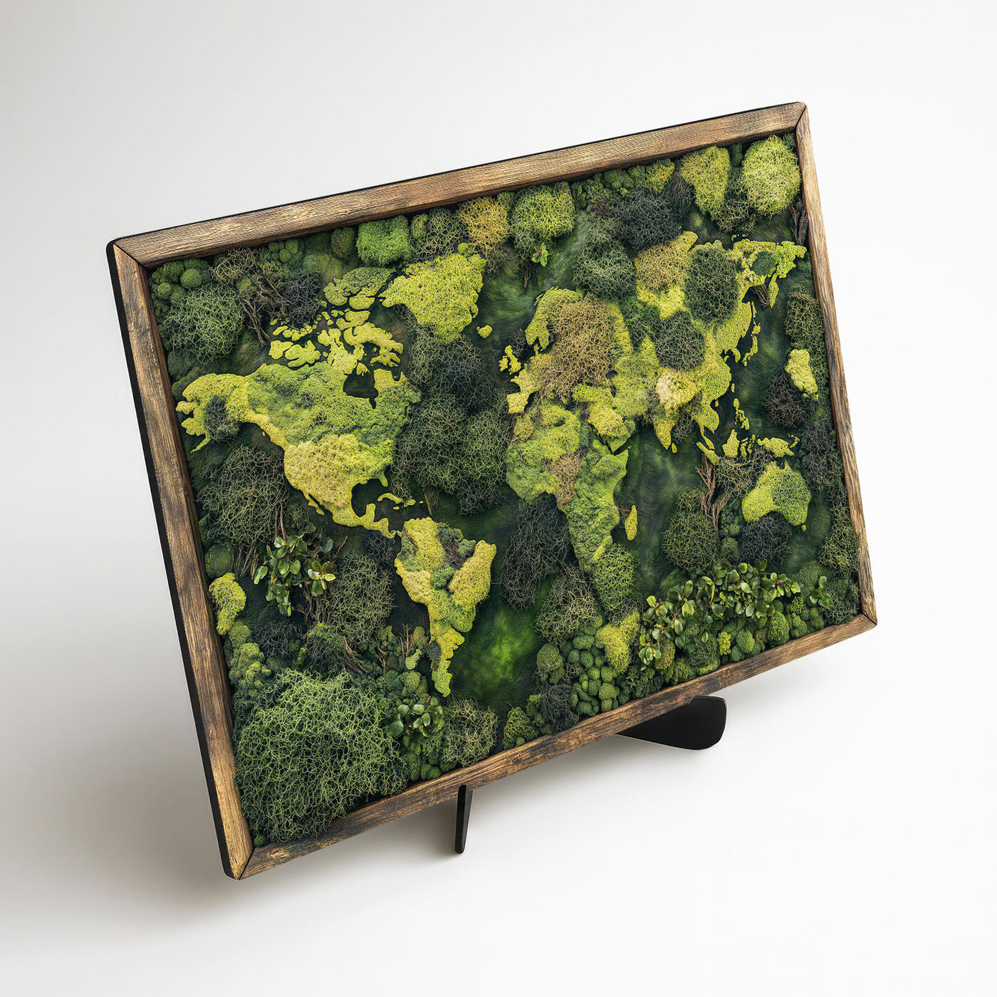 Machová imitácia mapy sveta - Obraz