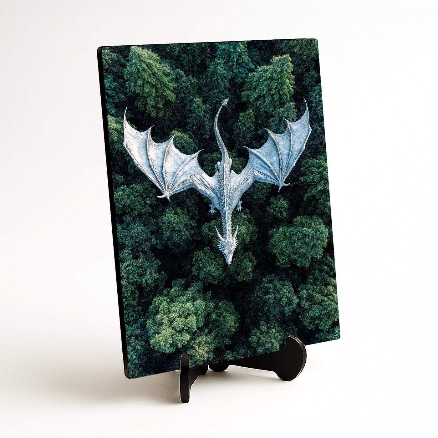 Barevný obraz na dřevě - Bílý drak