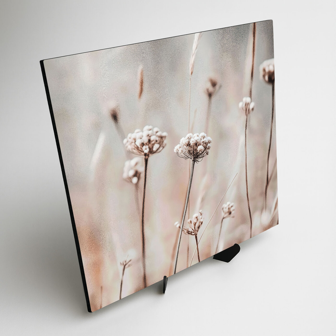 Minimalistický obraz kvetov - Krehké steblá
