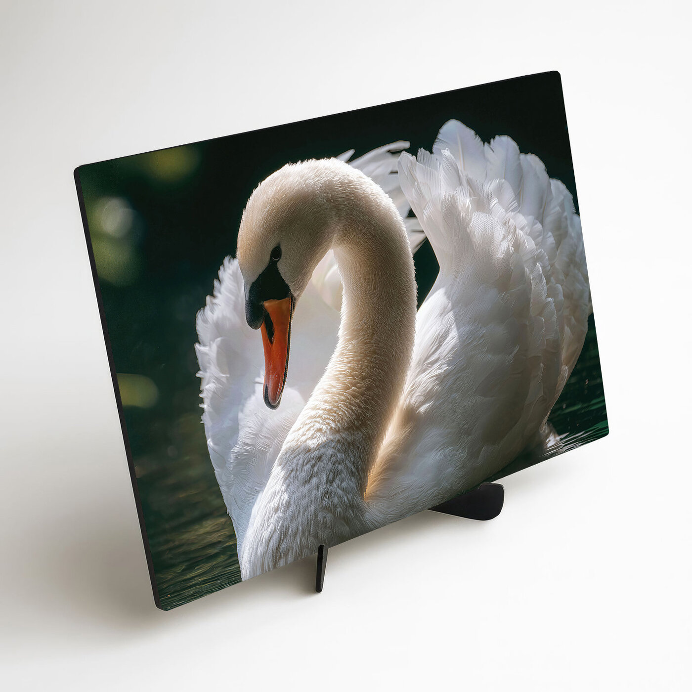 Wooden picture - White swan