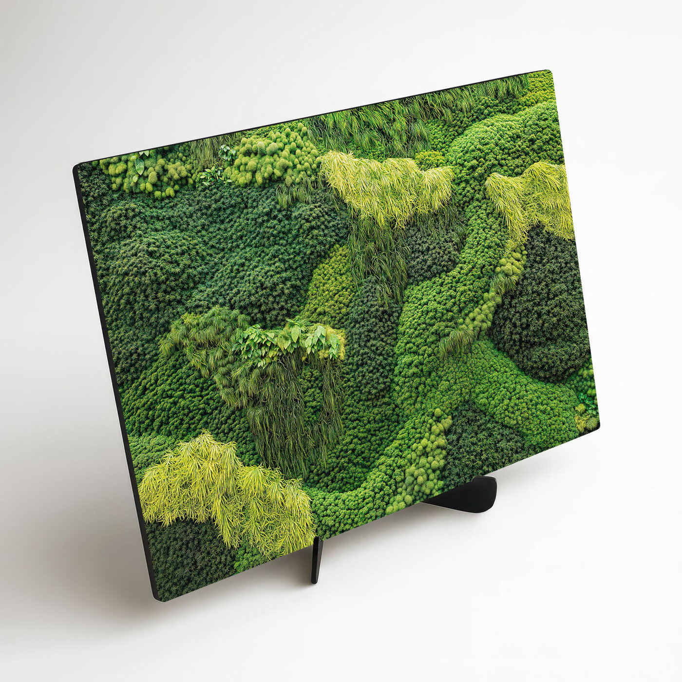 Moss Wood Wall Art - Path of Nature