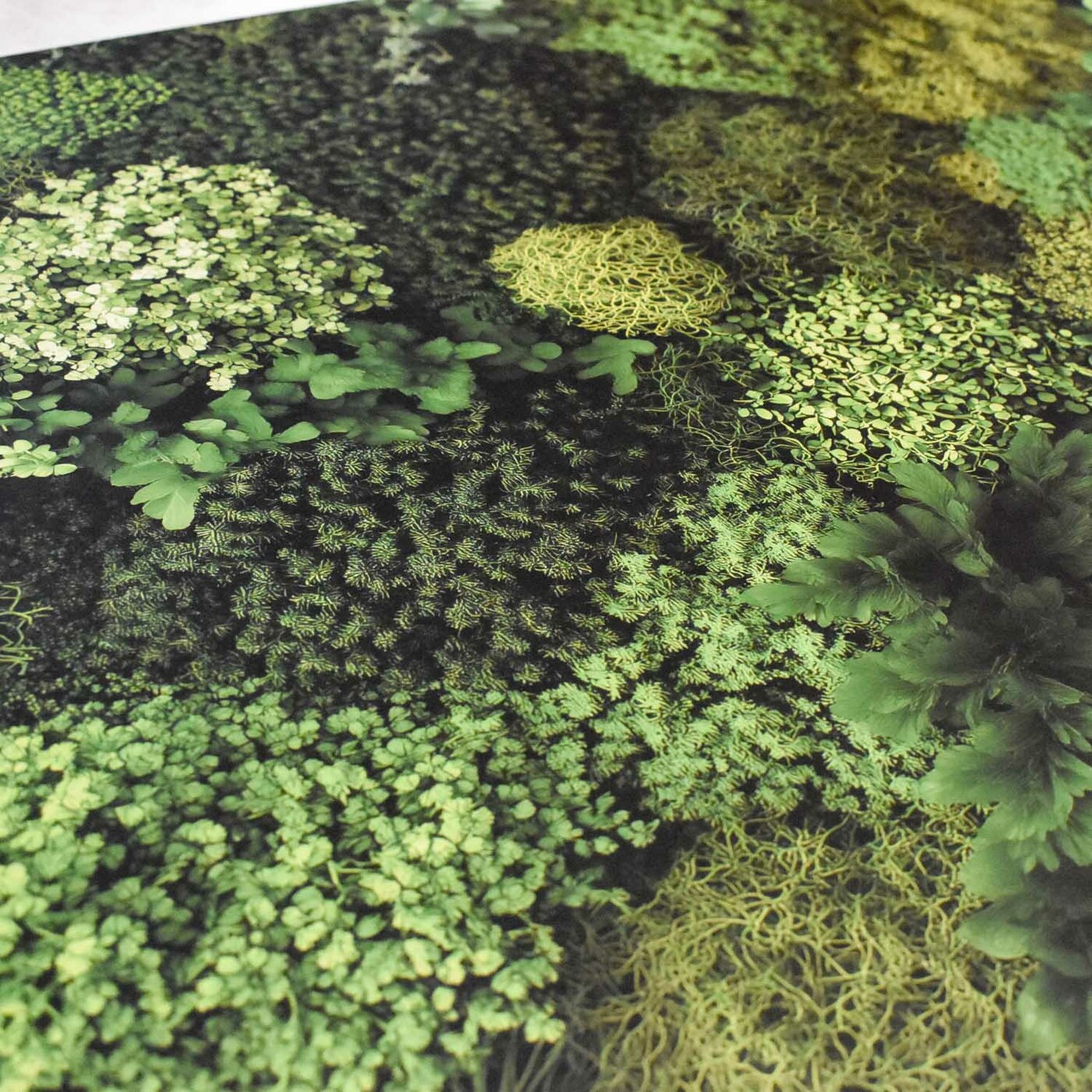 Printed Moss Wall Art
