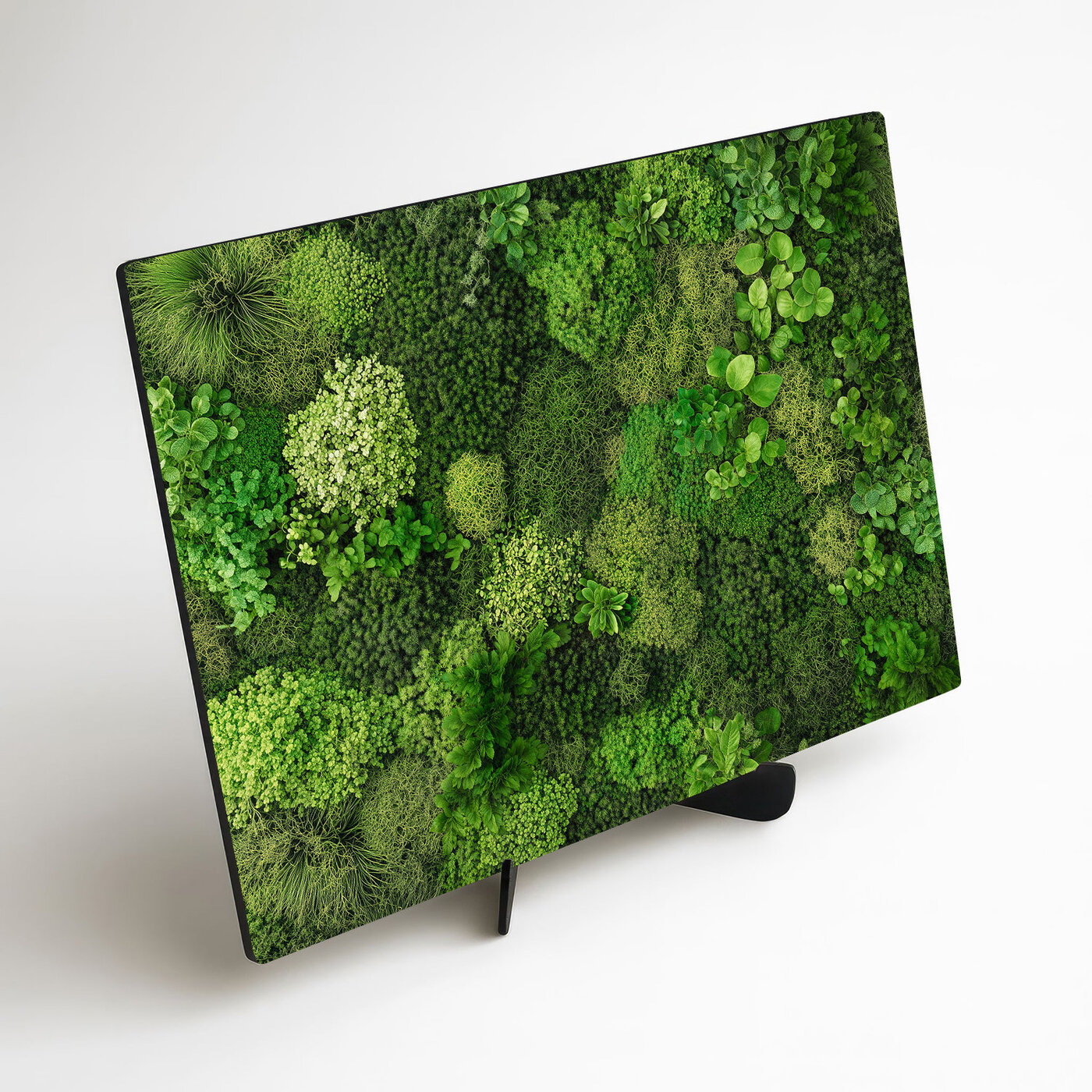 Printed Moss Wall Art