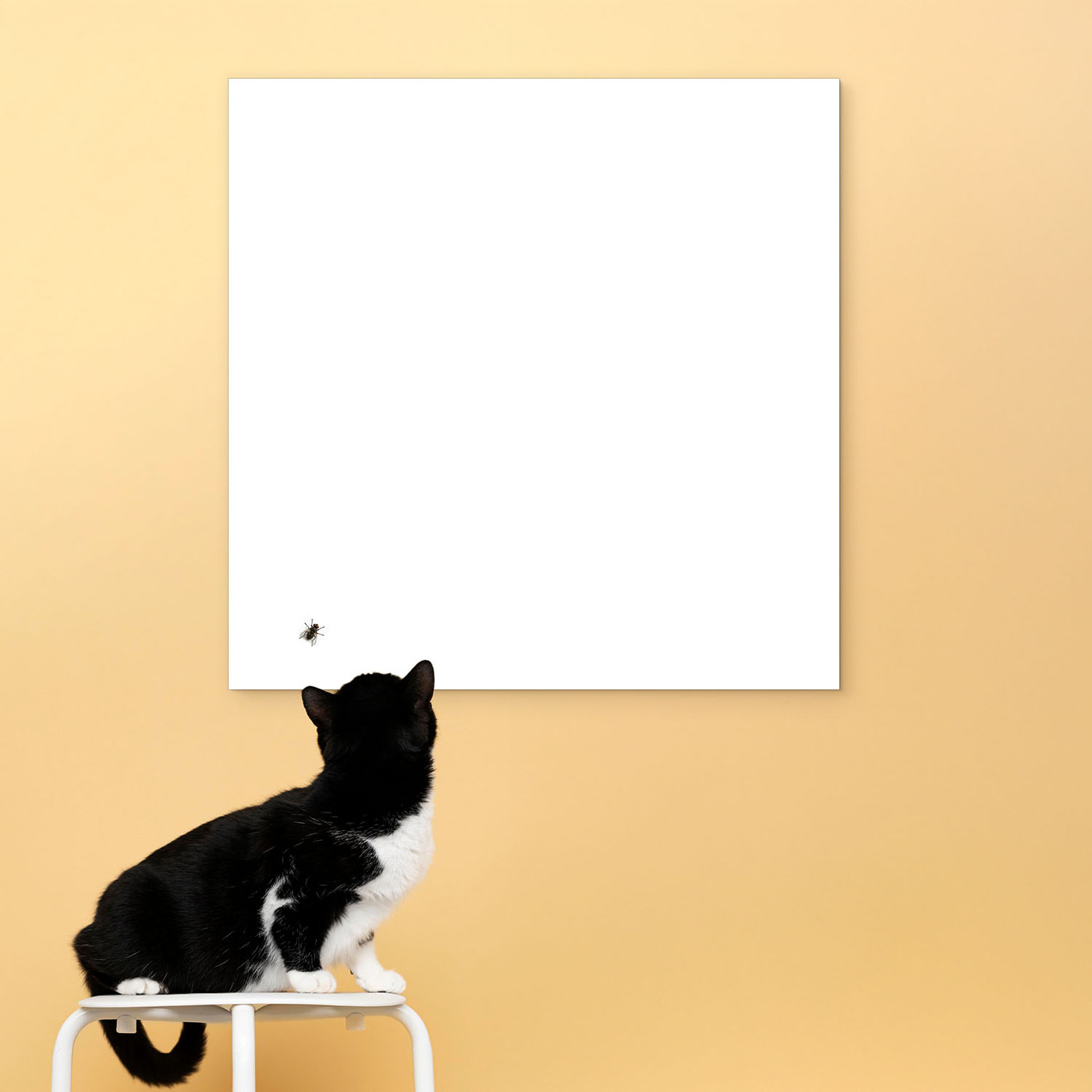 Tablou haios din lemn - Muscă