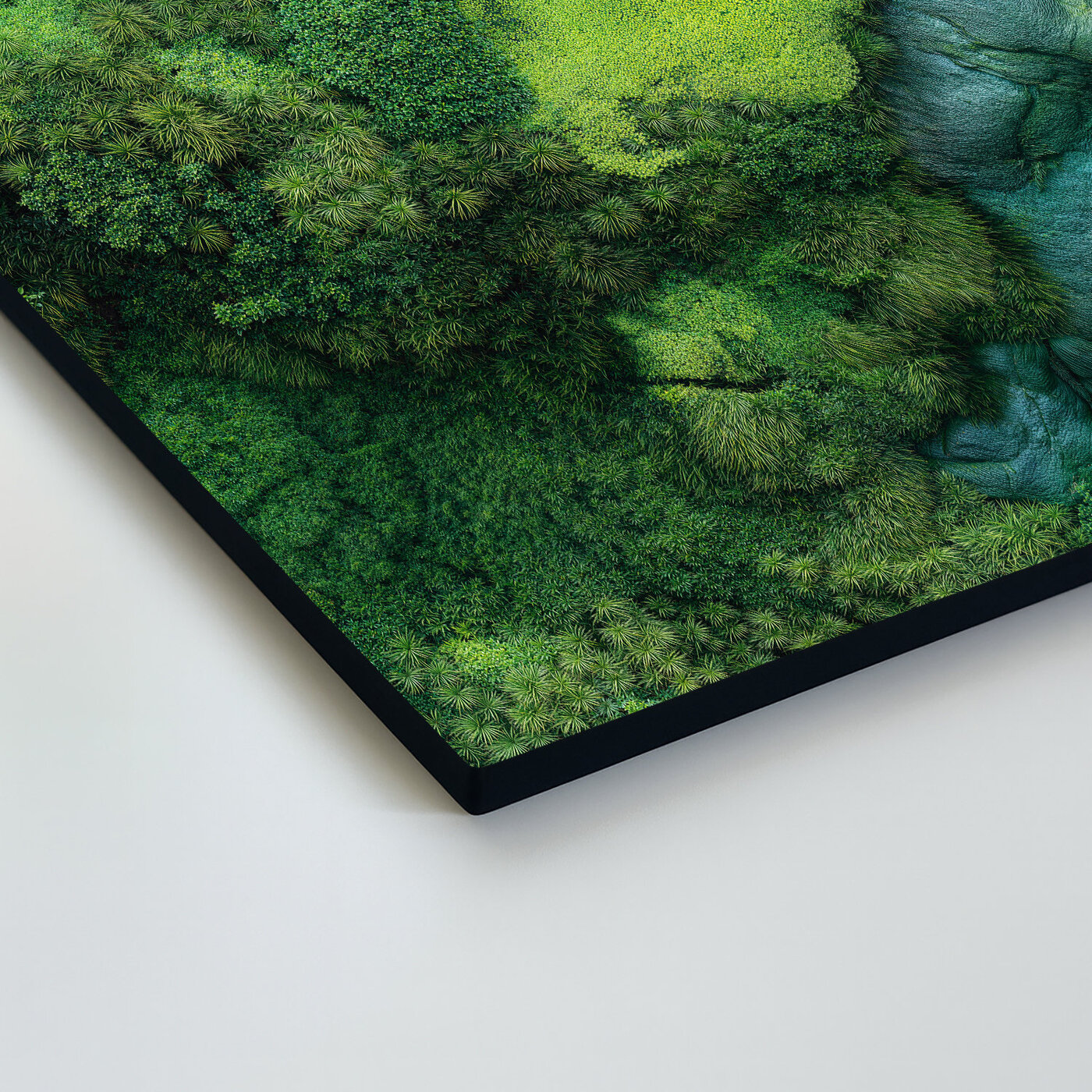 Mechový panel - Tištěný obraz na dřevě