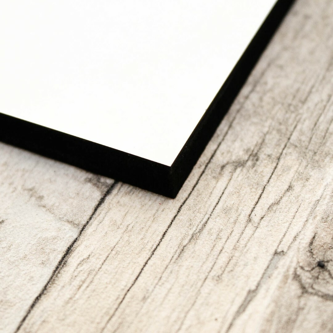 3D Wooden Engraved Wall Art - Lion | White