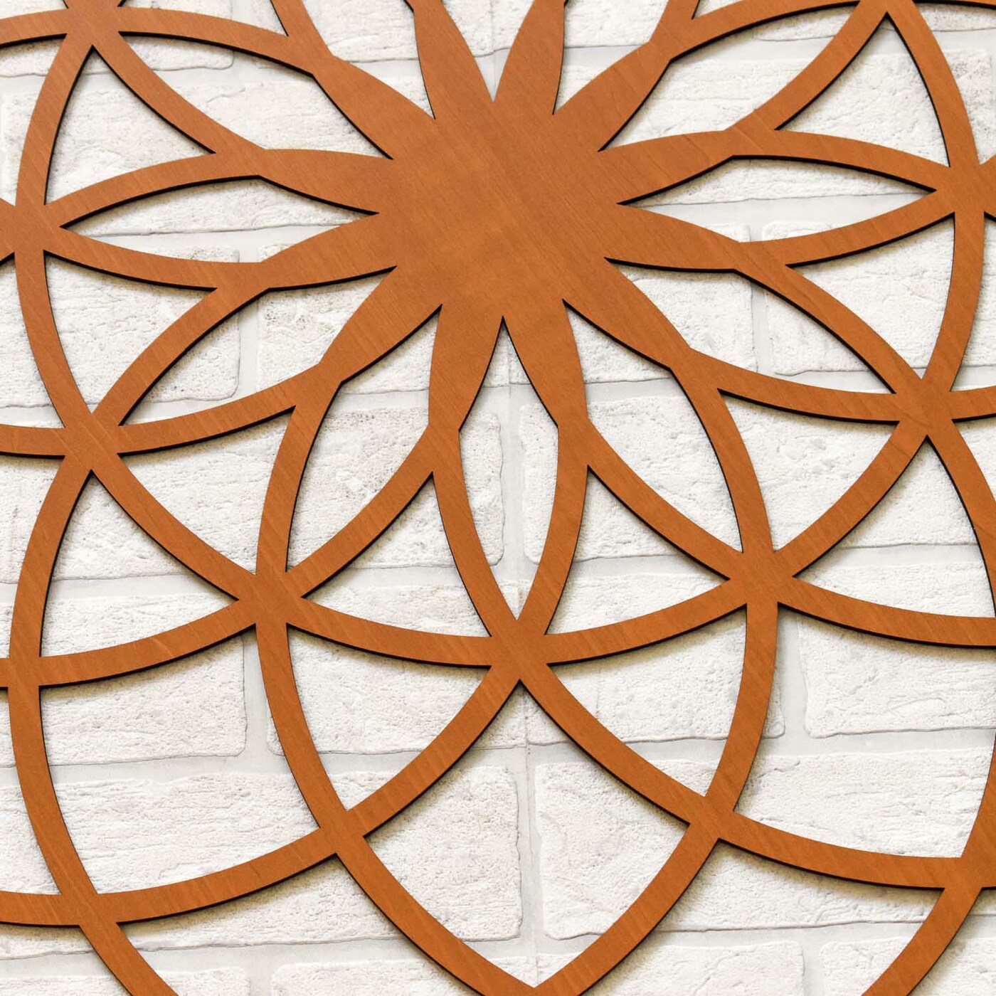 Sacred Geometry - Flower of Life Symbol | Cherry