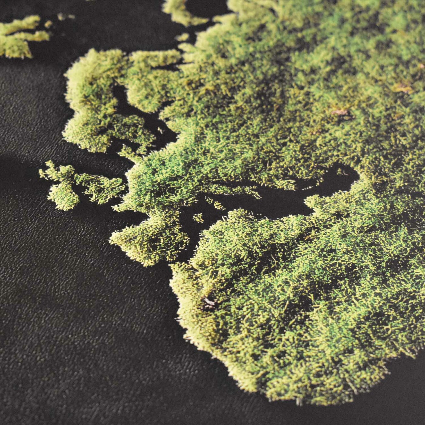 Drevený obraz - Machová mapa sveta