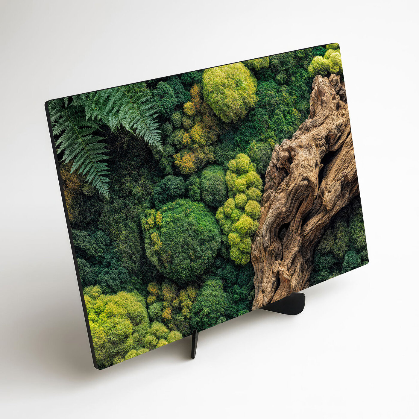 Mechový obraz na zeď (UV tisk)