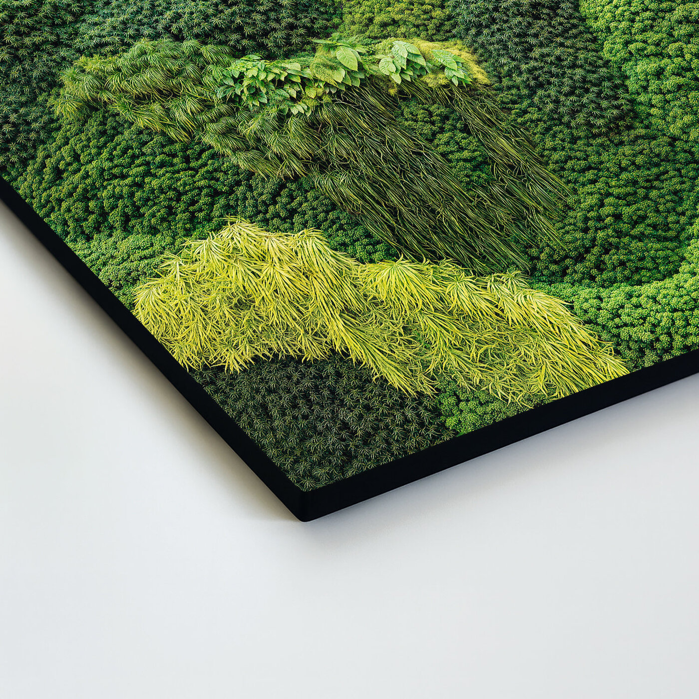 Moss Wood Wall Art - Path of Nature