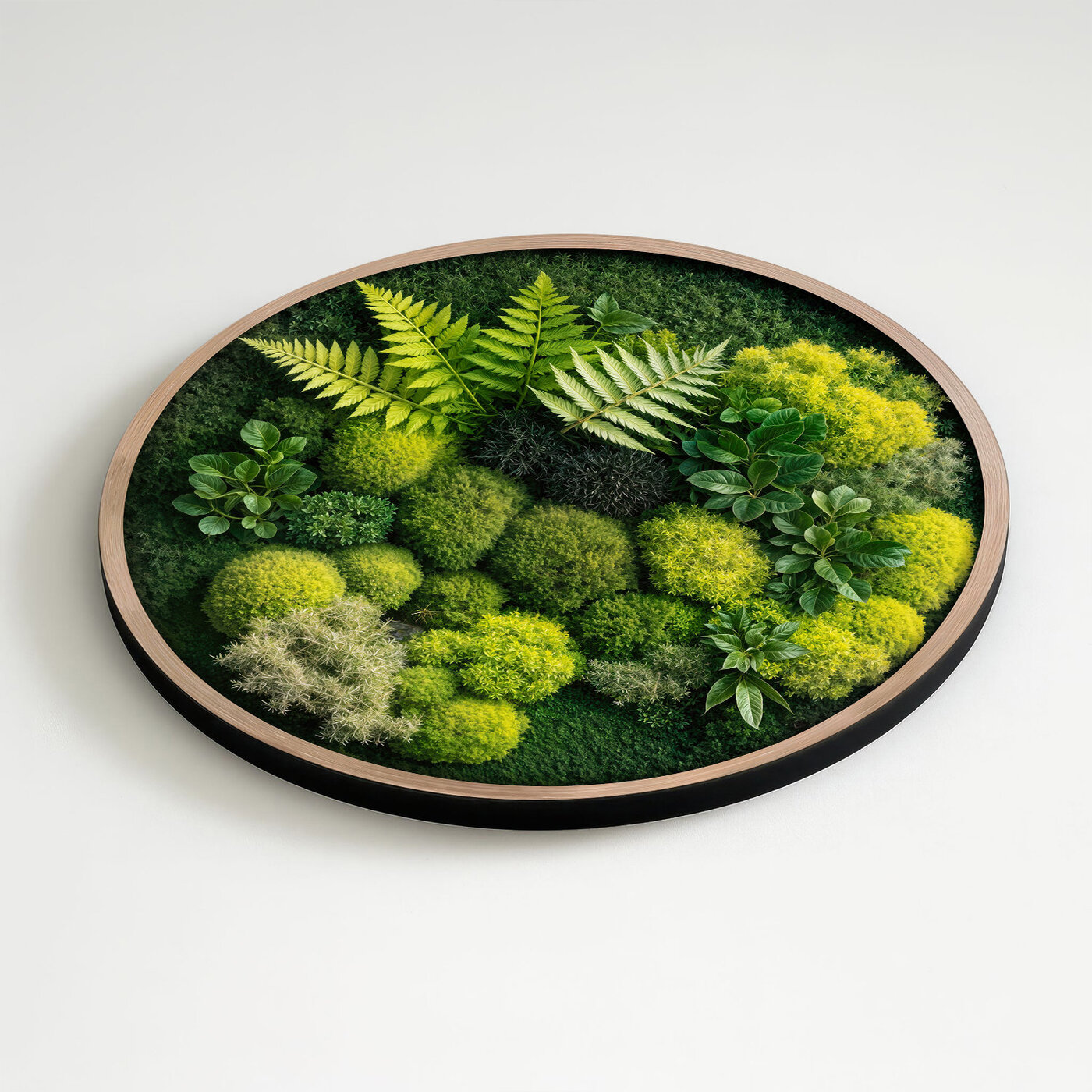 Wooden Wall Art with 3D Moss Effect - Fern