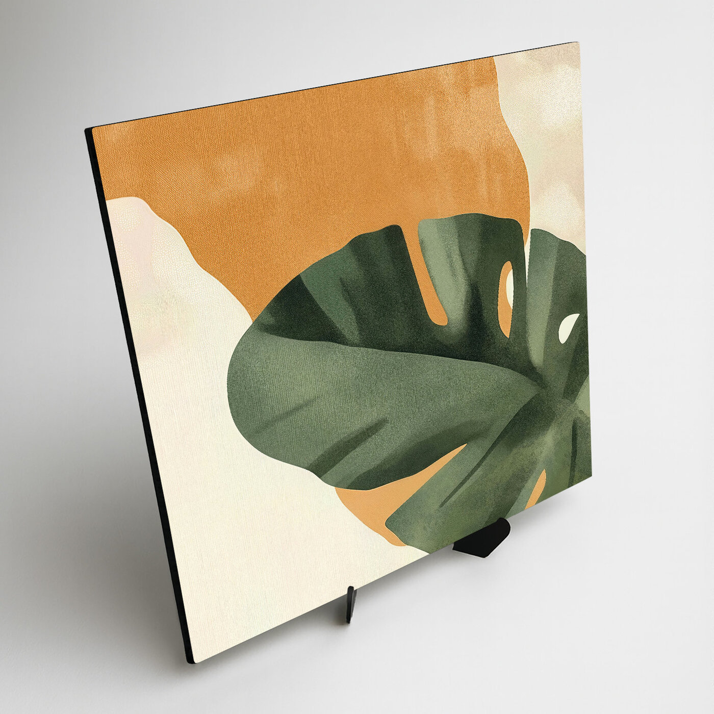 Botanical image - Leaf of monstera