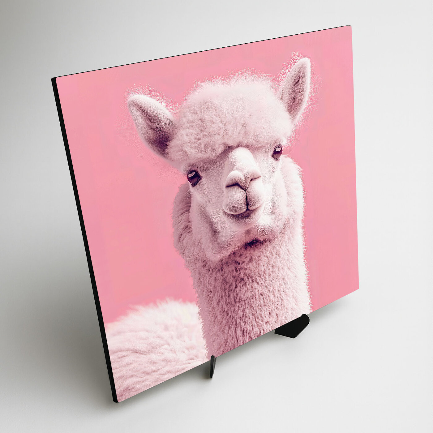 Růžový obraz - Lama