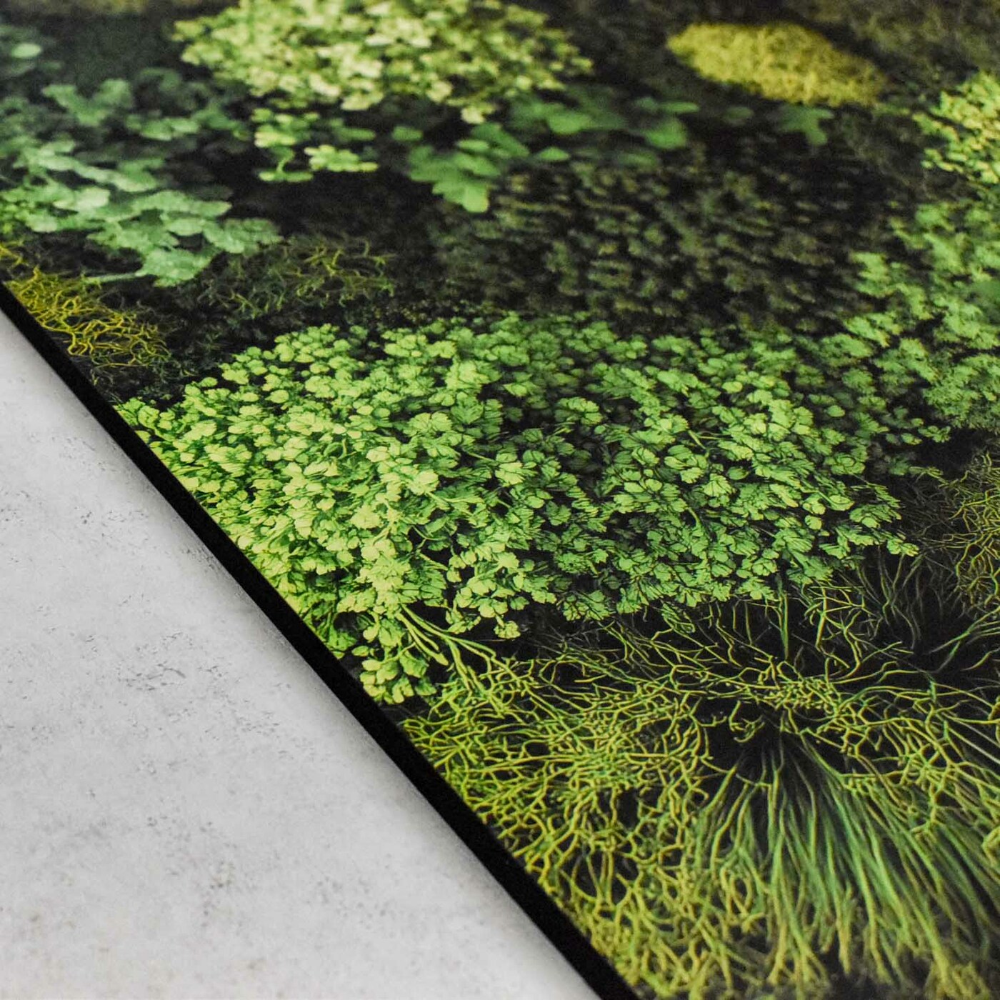 Printed Moss Wall Art