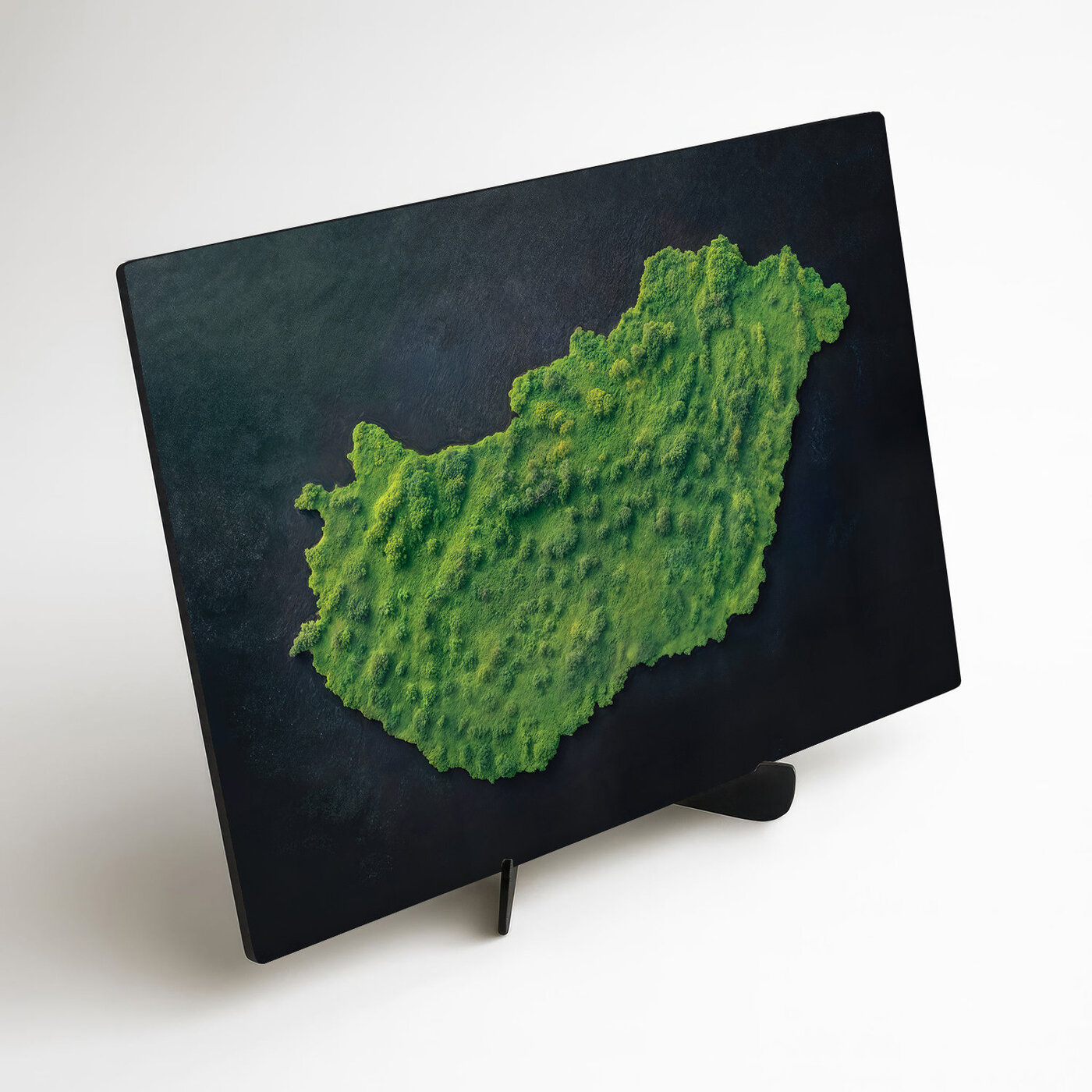 Machový obraz na stenu - Mapa Maďarska (UV tlač)