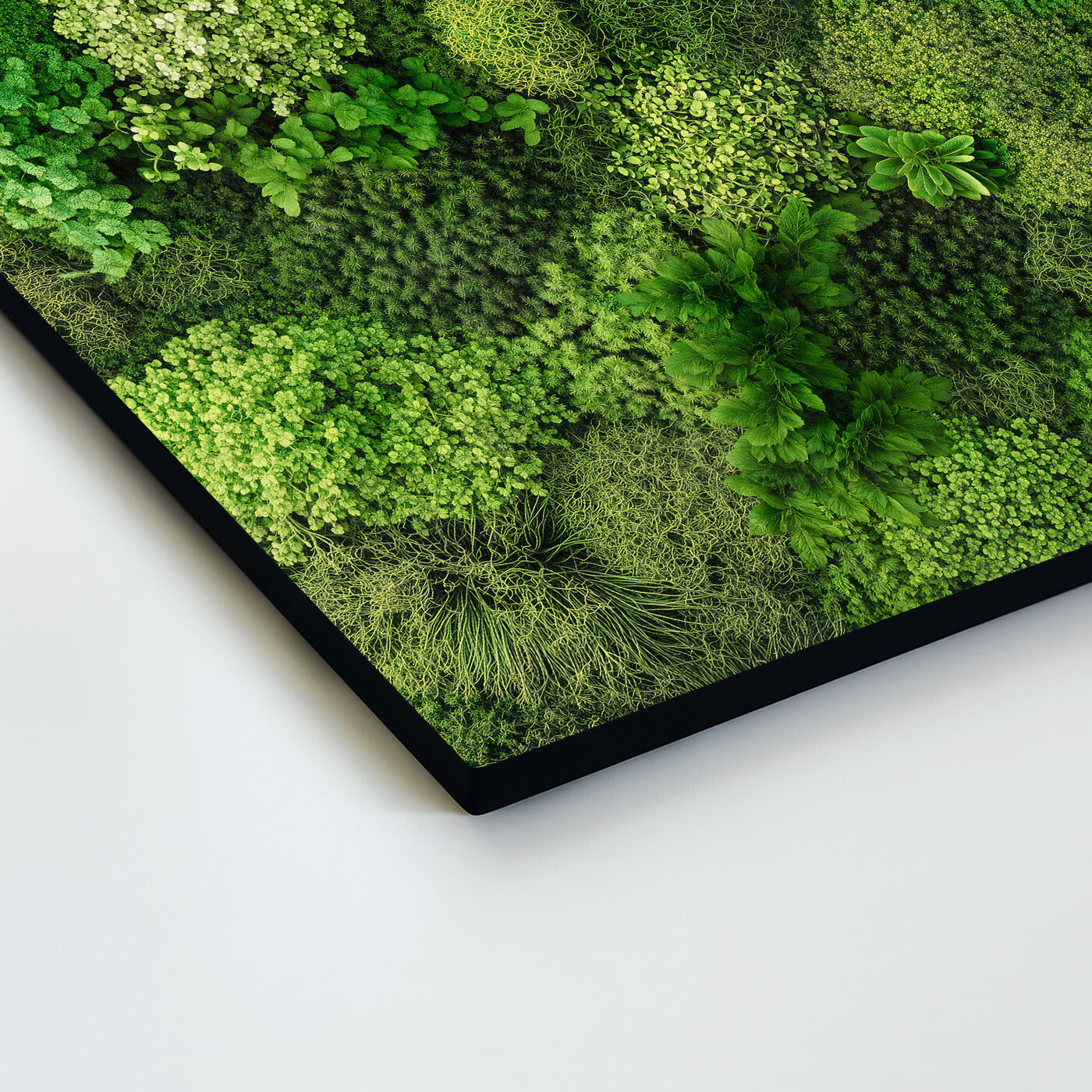 Printed Moss Wall Art
