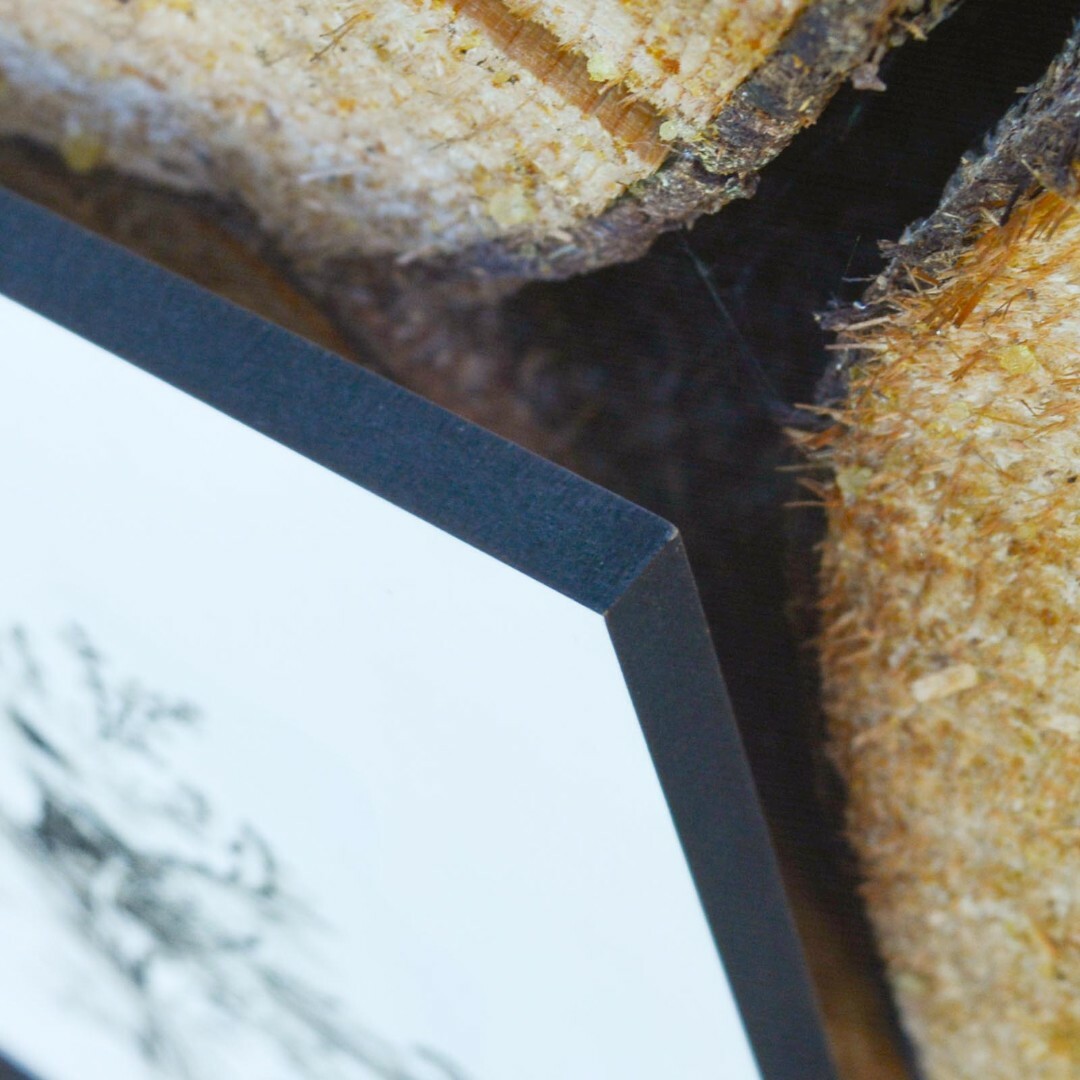 Modern Wall Art for the Living Room - Spring Flowers | White