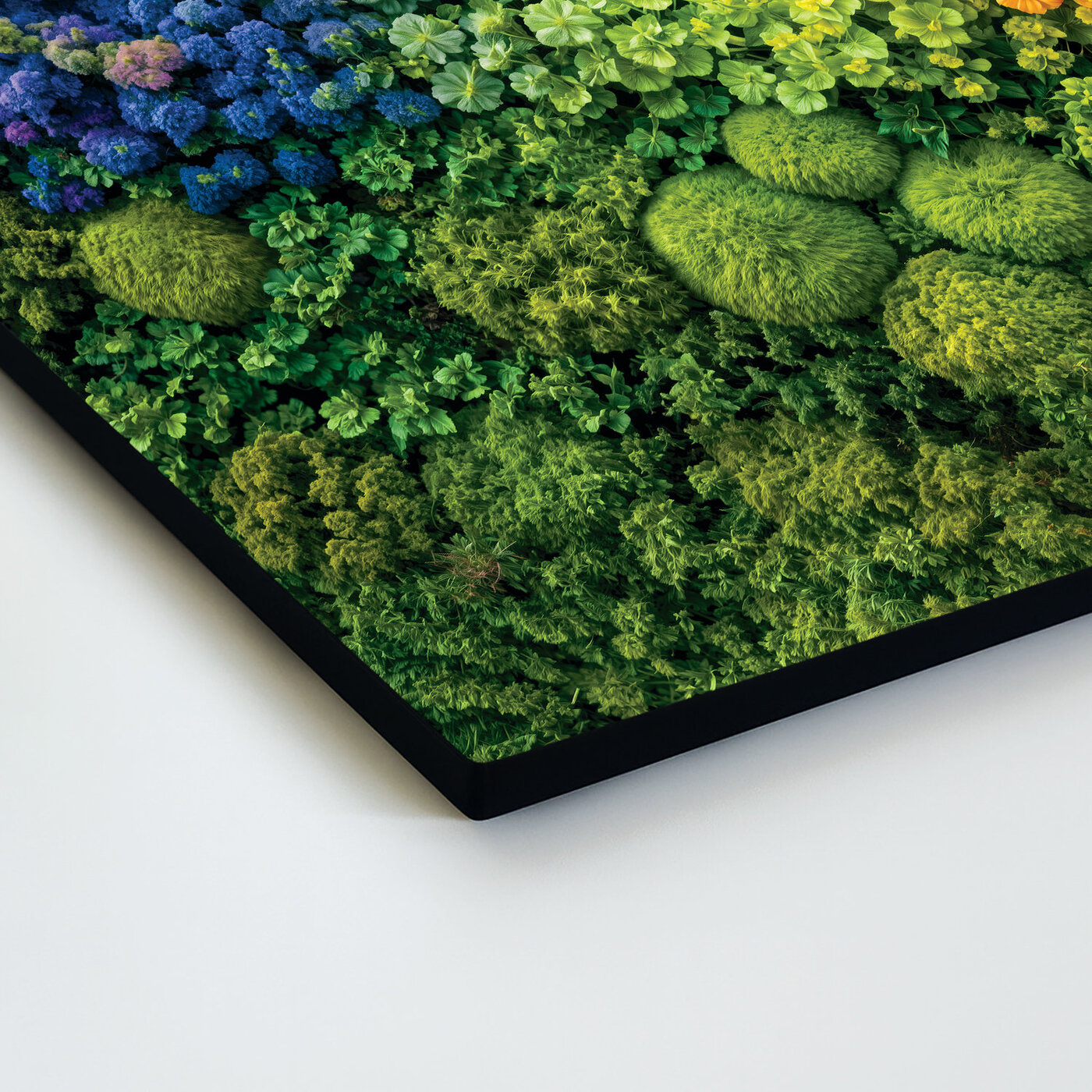 Multi-panel wall art - Moss rainbow