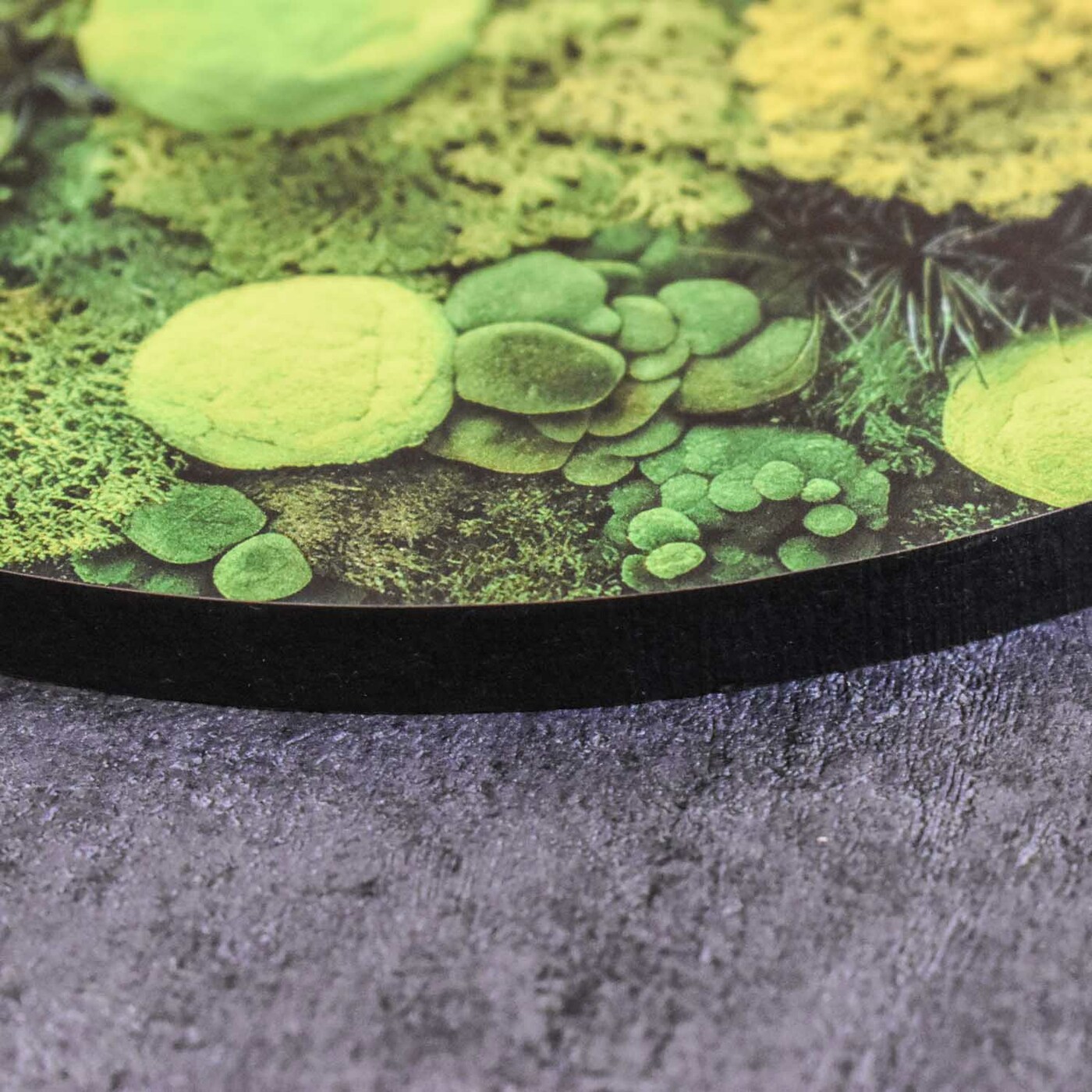 Wooden Wall Art - Mosses