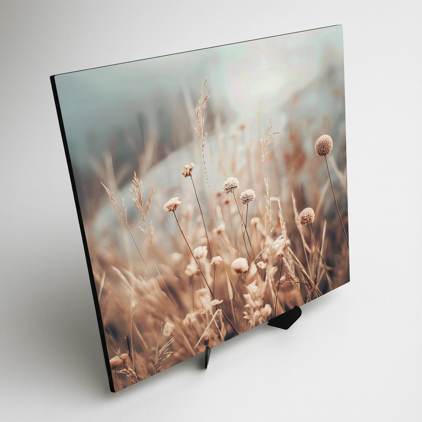 Obraz na stenu - Poľné kvety