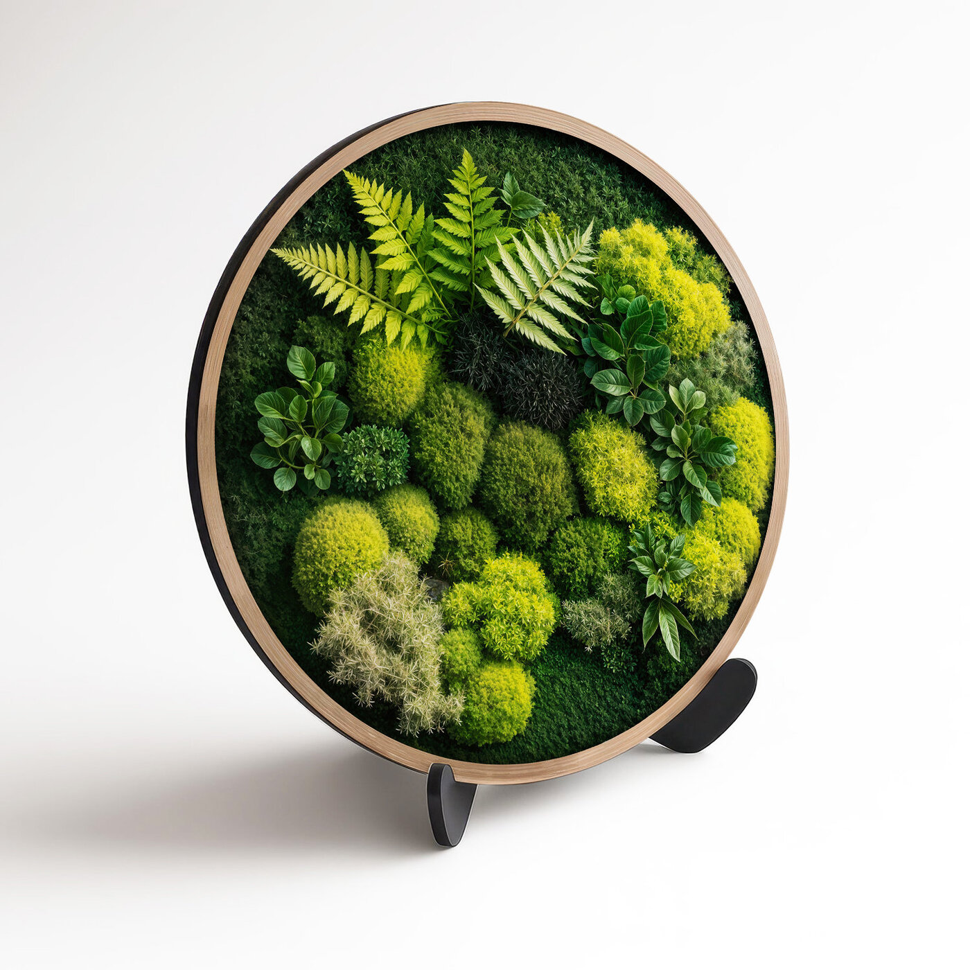 Wooden Wall Art with 3D Moss Effect - Fern
