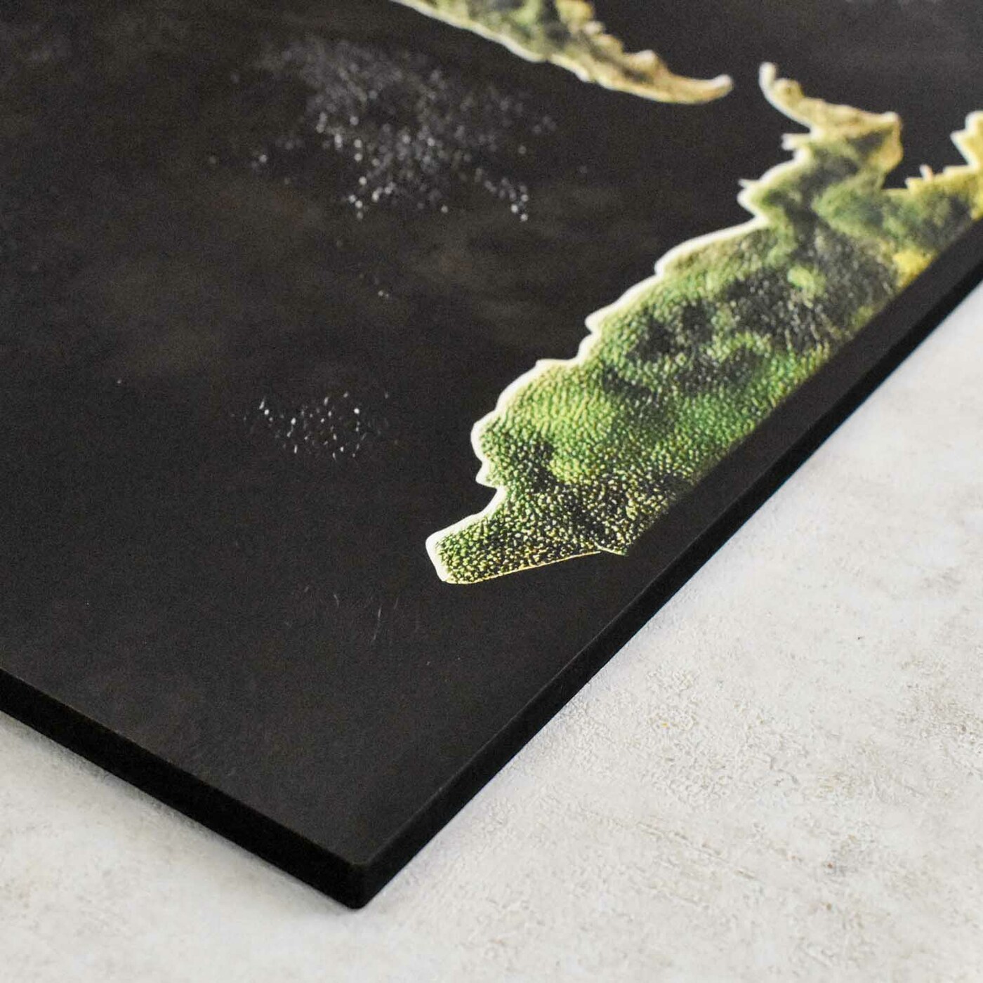 Wooden World Map with Moss Design