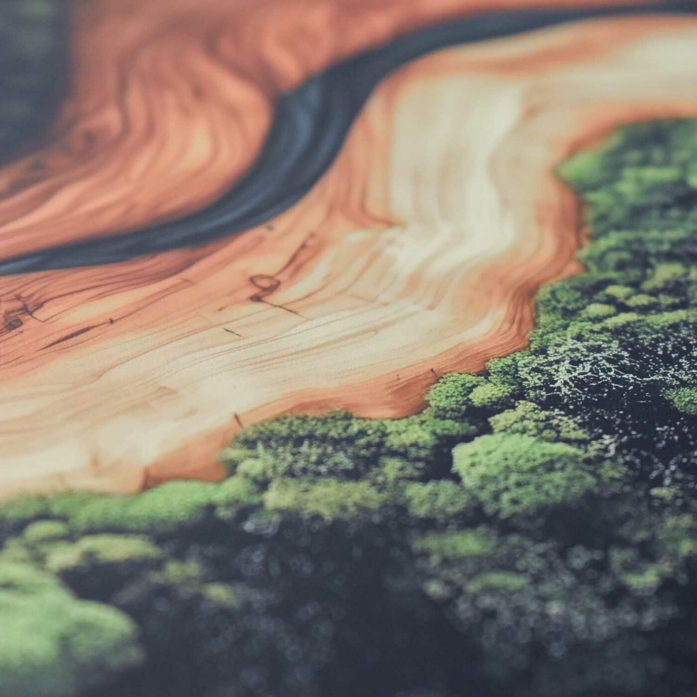 Colorful Wooden Wall Art - Abstract Forest