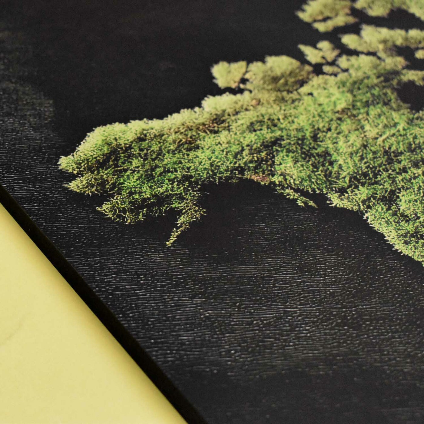 Drevený obraz - Machová mapa sveta