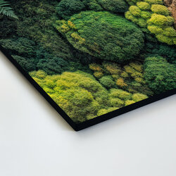 Mechový obraz na zeď (UV tisk)