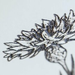 Large Picture for Living Room - Meadow Flowers