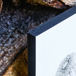 Large Picture for Living Room - Meadow Flowers