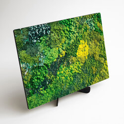 Imitácia machového obrazu z dreva - Čaro lesa