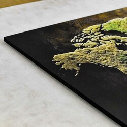 Wooden World Map with Moss Design