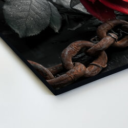 Dark romance image - Rose and chain