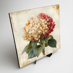 Vintage obraz kvetu - Romantická hortenzia