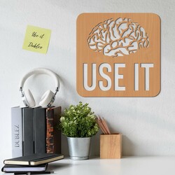 Funny Gift - Wooden Wall Art USE IT | Beech