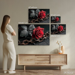 Dark romance image - Rose and chain