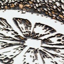 Drevený obraz do baru - Letné drinky  | Biela