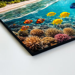 Drevený obraz rybiek - Podmorský svet