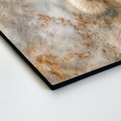 Nástenný obraz - Púpavové páperie