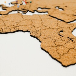 Cork World Map with Borders on the Wall