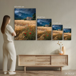 Image of nature - Poppies in the grain