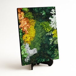 Moss Printed Wall Art - Paradise