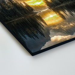 Obraz sovy - Strážca lesa