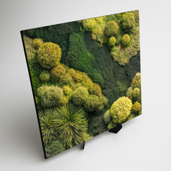 Mechový obraz - Zelená oáza (imitace)