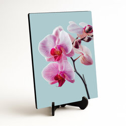 Dřevěný obraz - Květiny orchidejí