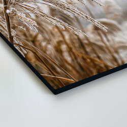 Dřevěný obraz na zeď - Stébla v zimě