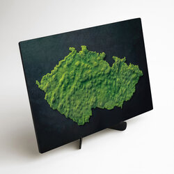 Machový obraz na stenu - Mapa Česka (UV tlač)